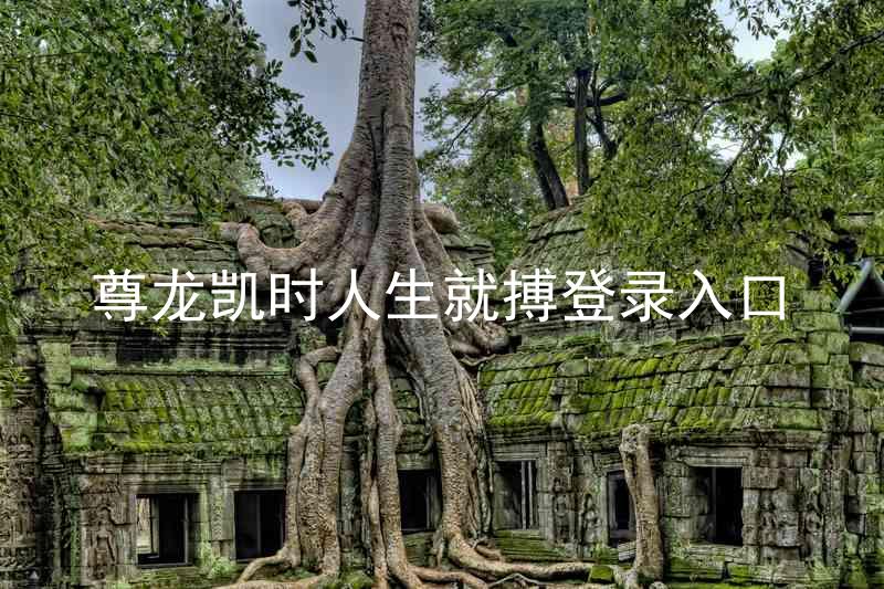 尊龙凯时人生就搏登录入口